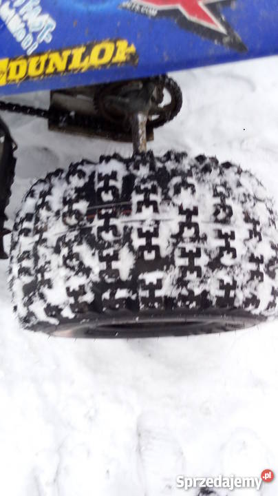 Yamaha Raptor 250 Konina