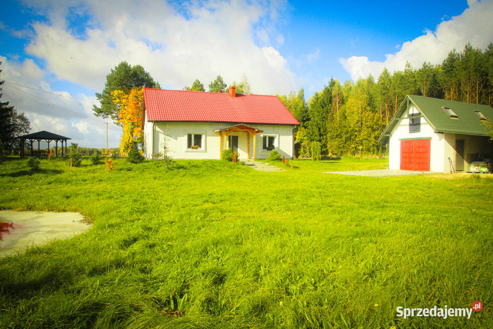 siedlisko dom na wsi przy lesie cisza 3000 m2 po remoncie