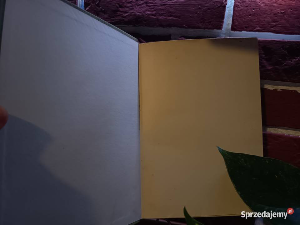 Geografia Gospodarcza Polski Warszawa 1962 Bydgoszcz sprzedam