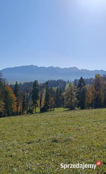 ZAKOPANE GLAMPINGPiękna działka widokowa u stóp małopolskie
