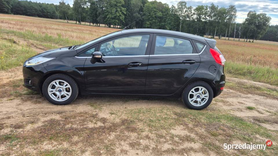 Ford Fiesta Mk7 2017 r bogata wersja Titanium Witkowo