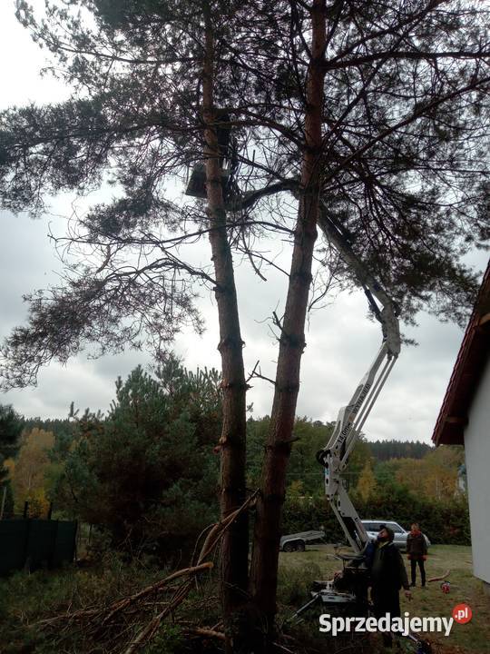 Usługi karczowania koszenia kujawsko-pomorskie