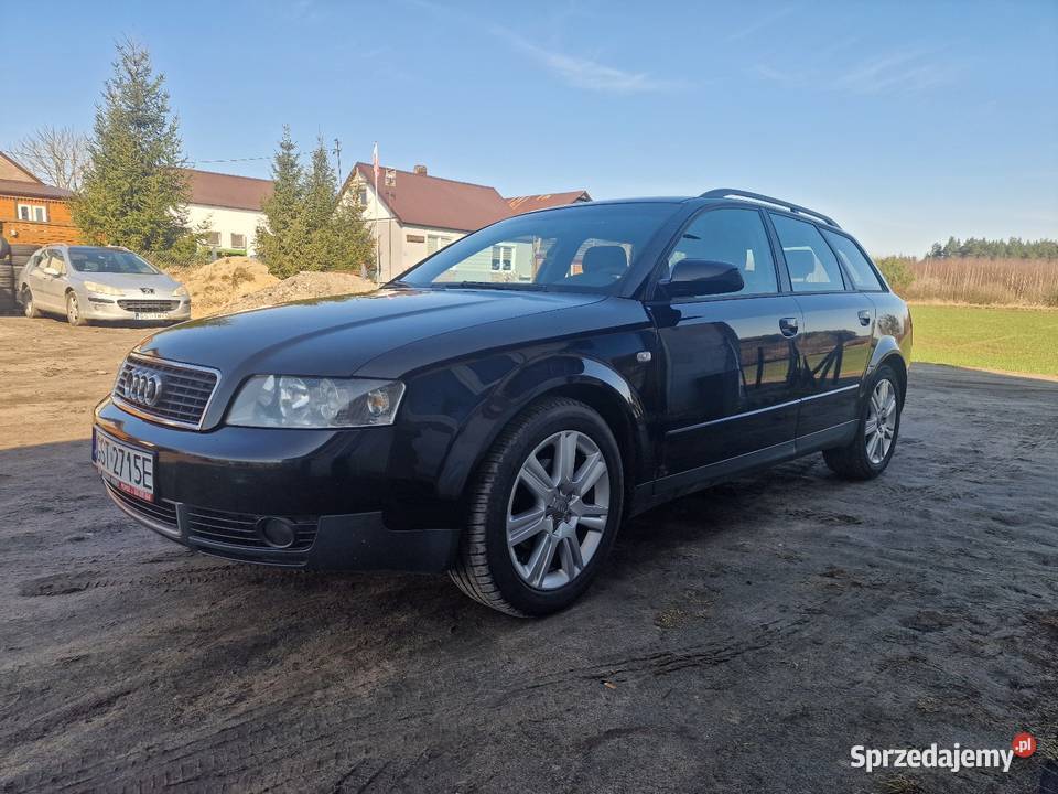 Audi a4 b6 19tdi 101135 2002r światła przeciwmgielne Klonówka