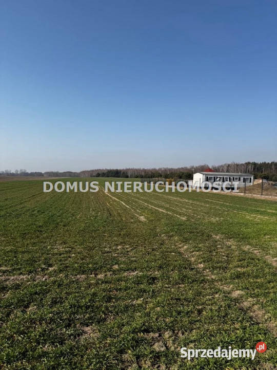 Ogłoszenie działka 1577m2 Złotniki sprzedam