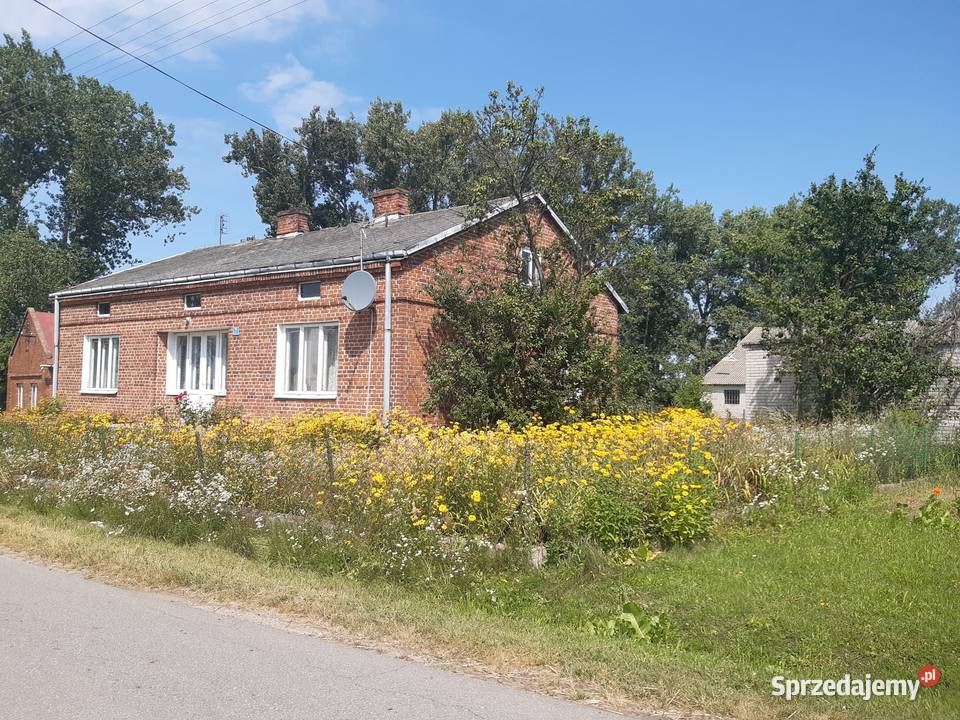 Dom budynki gospodarcze działka rolna Domy Łowicz
