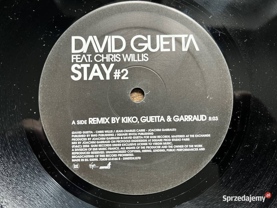 David Guetta feat Chris Willis Stay 2 House
