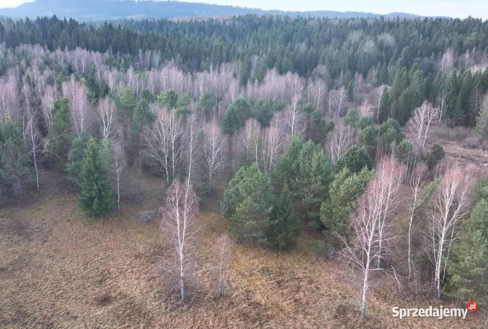 Działka Czarna 11400m2 Sprzedaż podkarpackie sprzedam