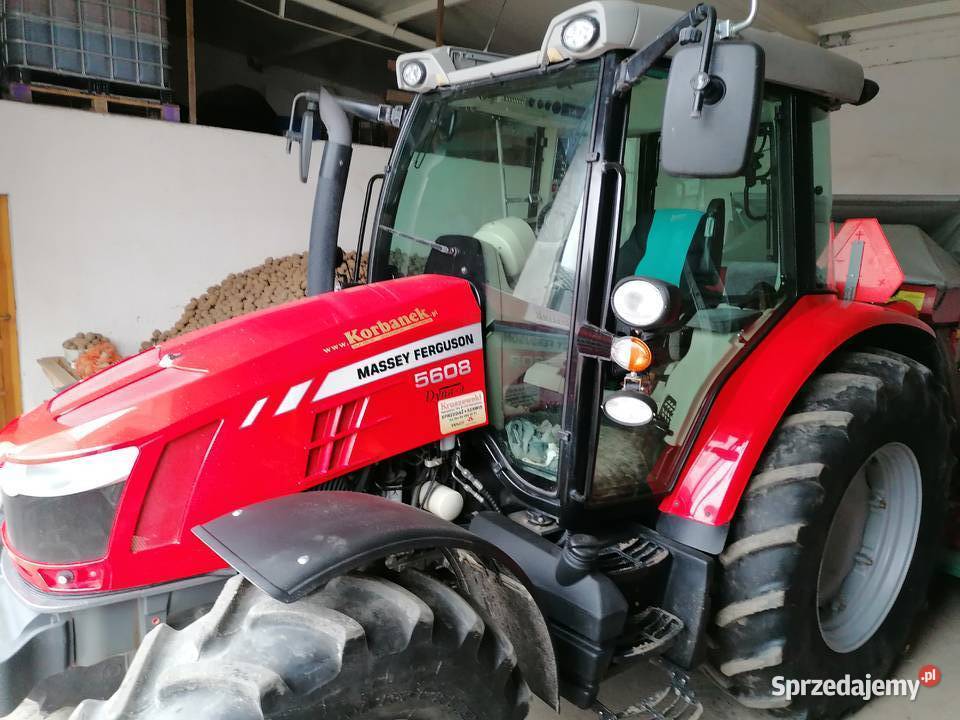 Massey ferguson 5608 5609 polski pierwszy Kowalewo Pomorskie