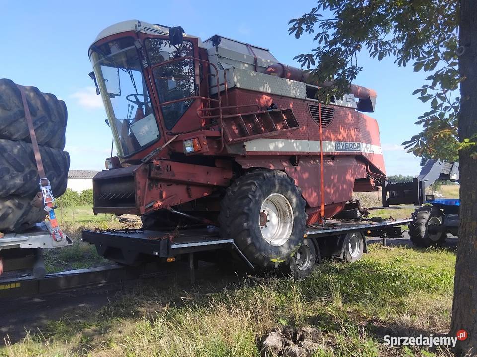 Kombajn zbożowy Laverda 3700 Golub-Dobrzyń