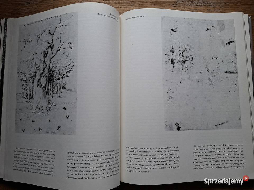 Hieronim Bosch Wilhelm Fraenger Arkady ISBN 8321333494 Kraków sprzedam