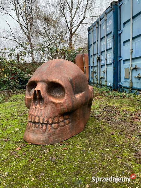 Czaszki laminat krzesło loft pomorskie Gdańsk