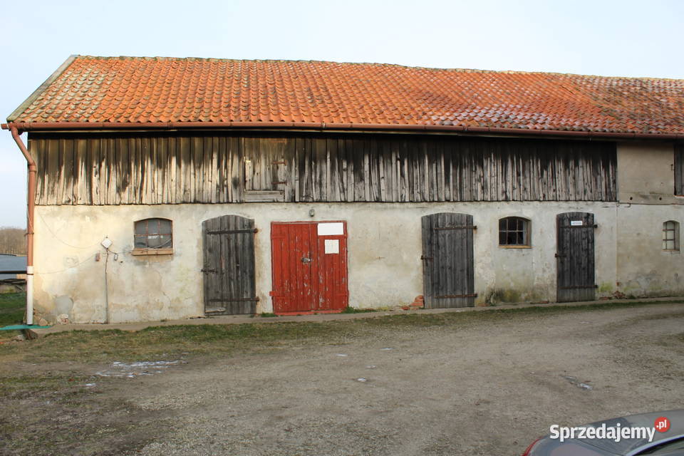 Siedlisko w Silcu dom jednorodzinny na sprzedaż piwnica Silec sprzedam