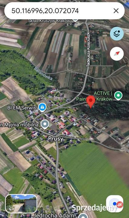 Sprzedam nieruchomość w miejscowości Prusy koł
