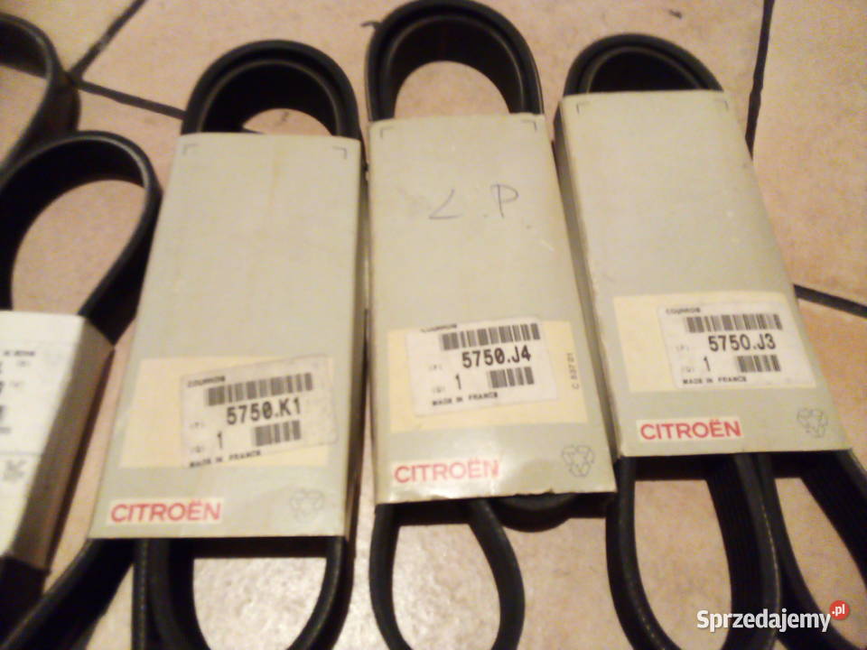 Pasek klinowy wielorowkowy CitroenPeugeot Leszno