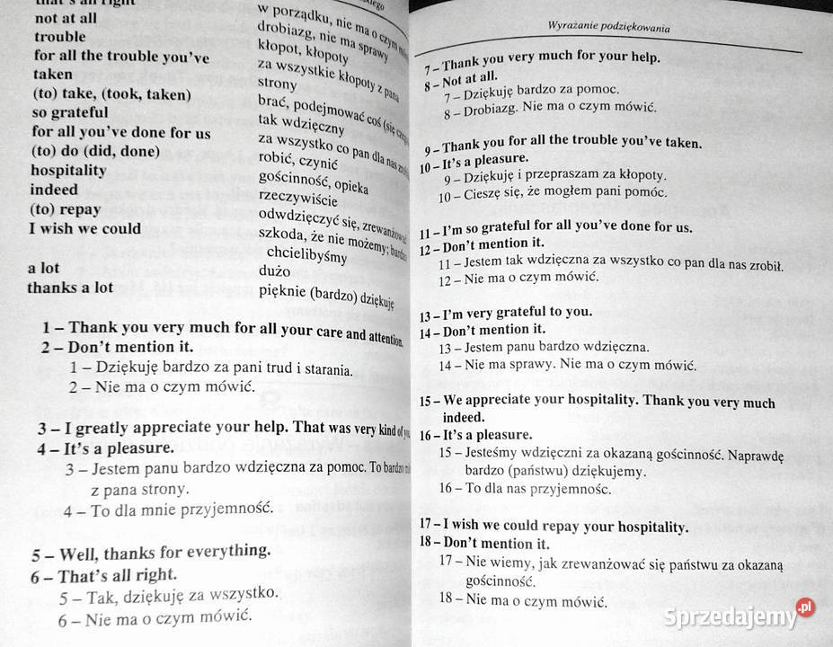 Błyskawiczny kurs języka angielskiego Ryszard Pozostałe Chełm sprzedam