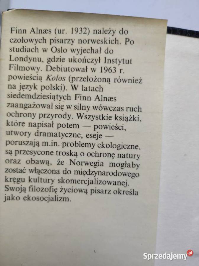 Finn Alnaes Musica Kielce sprzedam