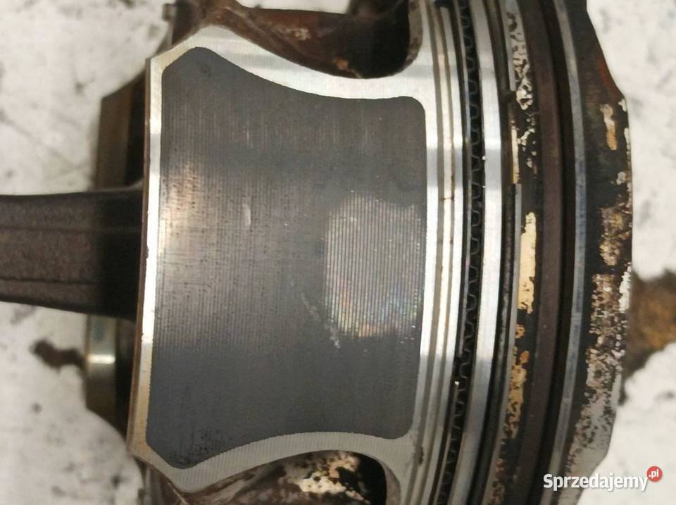 TŁOK KORNOWÓD 1295 64 0834135 16 CGI