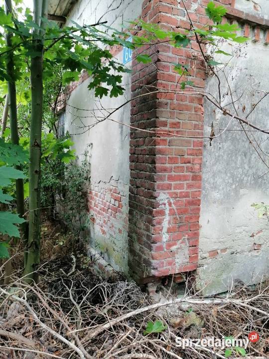 Syndyk sprzeda udział 16 w działkach Jędrzejów