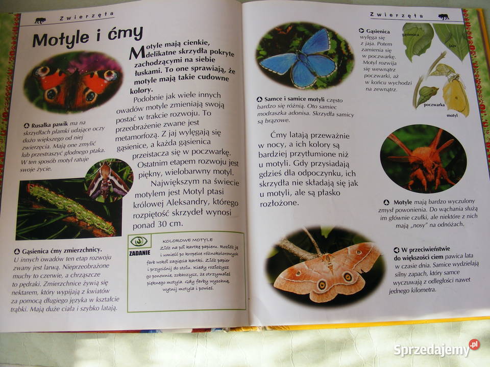 Kosmos Encyklopedia Świat Encyklopedia Moja Oborniki Śląskie