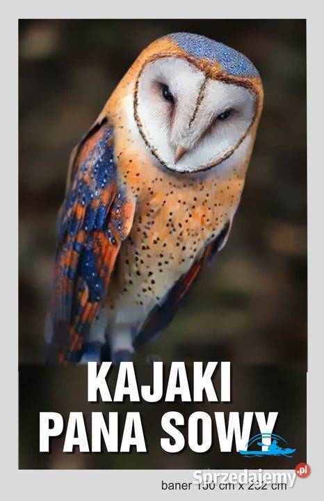 Kajaki spływy Roztocze Hutki Bondyrz Guciów Lublin