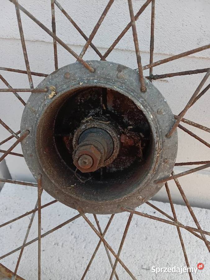 Koło Żak Ryś Milejewo