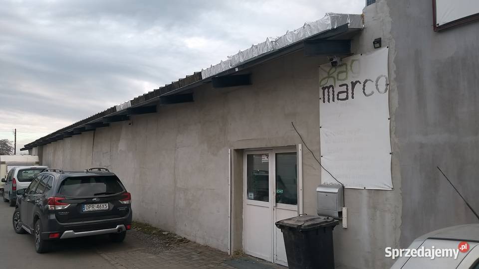 Magazyn sklep Prudnikopolskie 420 m Prudnik