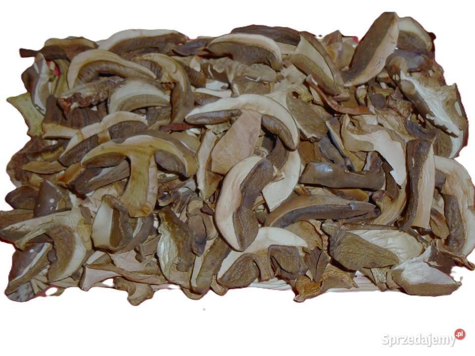tegoroczne grzyby suszone Skoczów