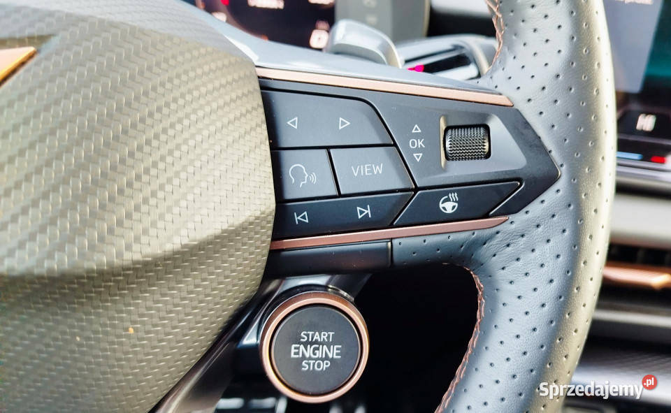 Cupra Terramar 2025r bogate wyposażenie elektryczne lusterka Dąbrowa Górnicza