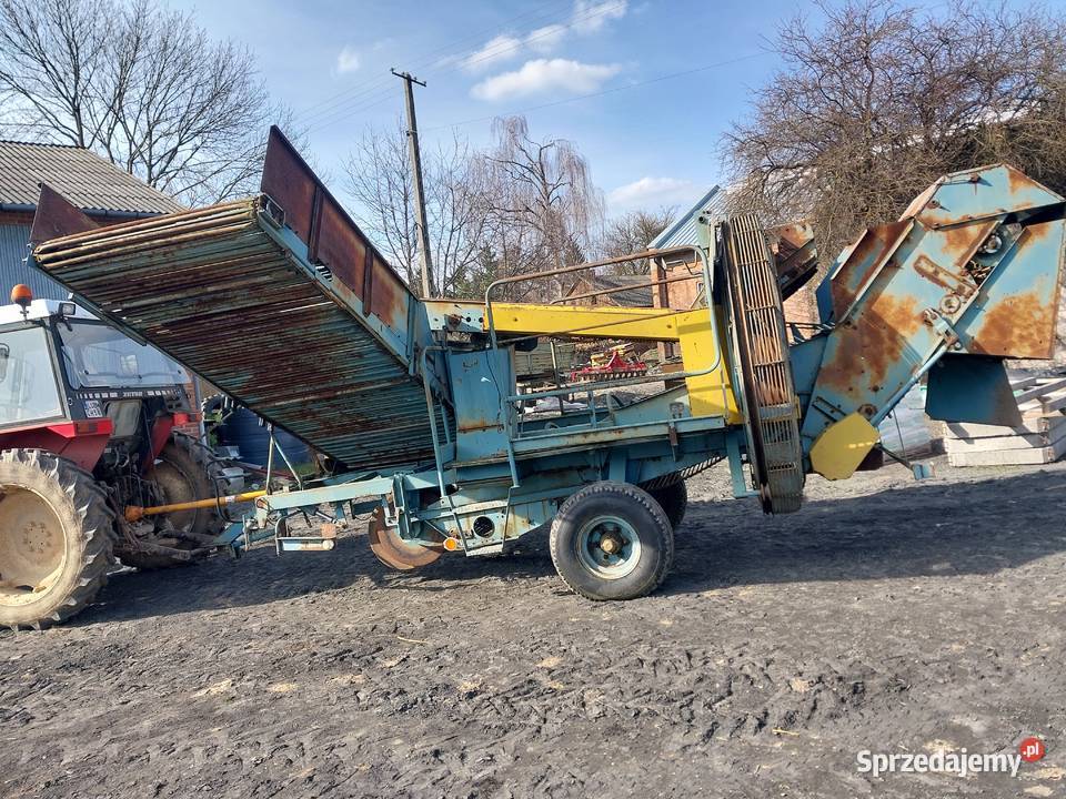 Anna Wilczopole-Kolonia