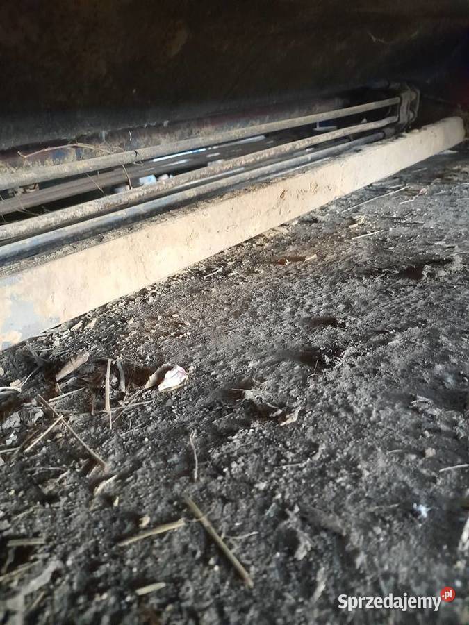 Kopaczka do cebuli nieuszkodzony Skalbmierz sprzedam