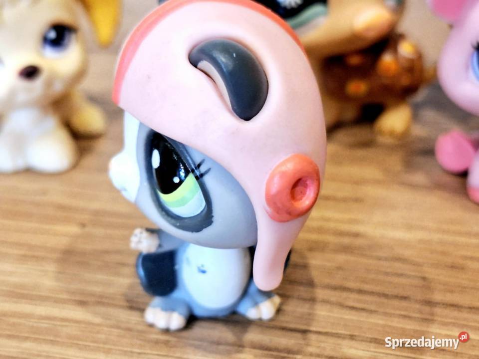 Wiewiórka latająca Littlest Pet Shop Braniewo sprzedam