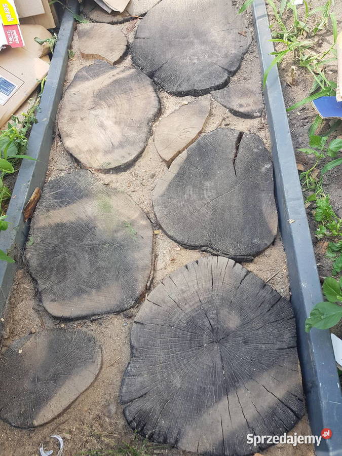 Buk wyprzedaz sezonowany 3 lata