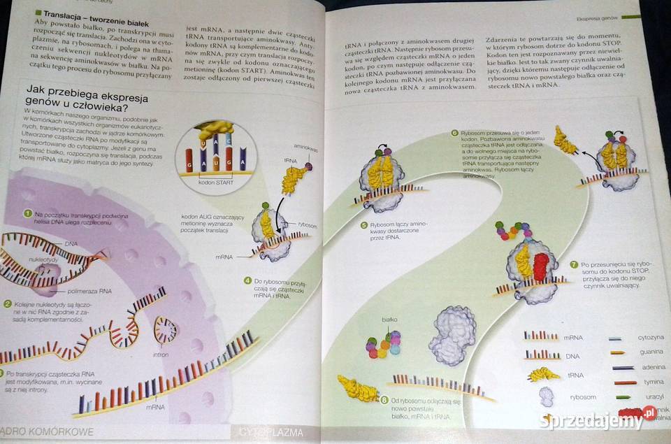 Biologia na czasie Emilia Bonar Stanisław lubelskie Chełm