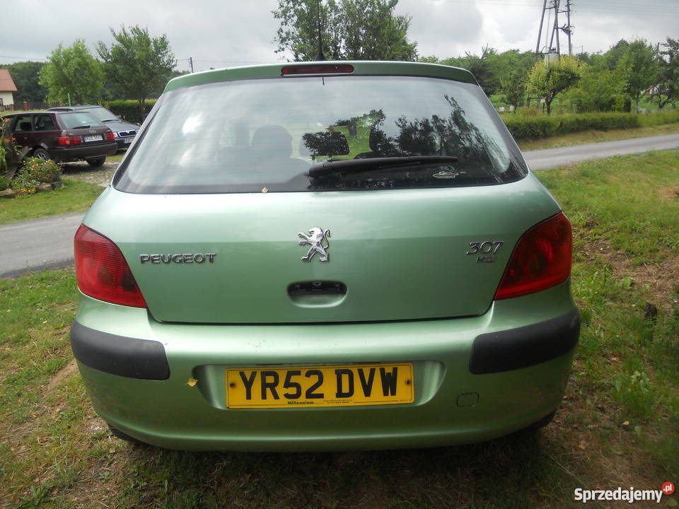 Peugeot 307 Zabratówka
