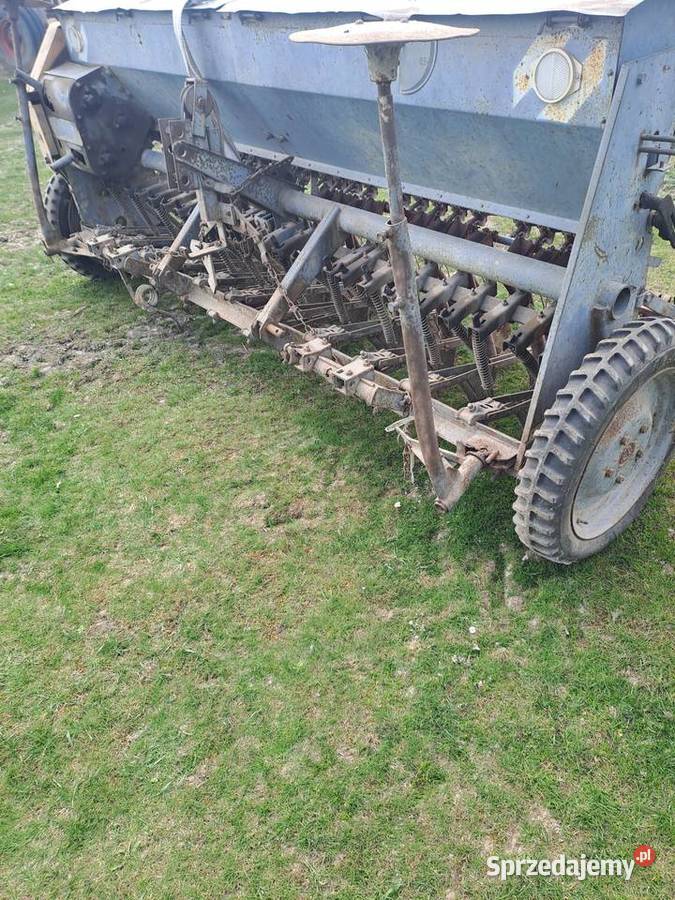 Siewnik zborzowy poznaniak Dzierżoniów