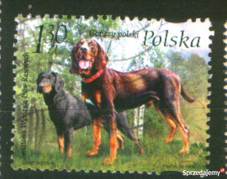 Zn Fi 4127 kas 2006 Gliwice