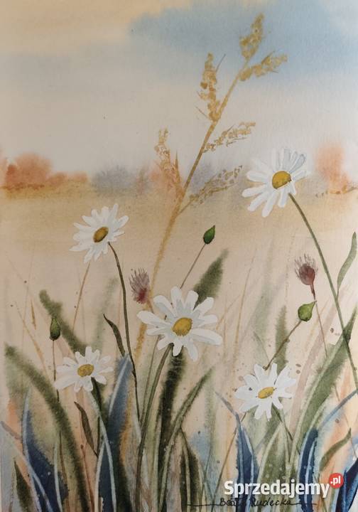 Akwarela Akwarelka Obraz pt Łąka 4 Poznań