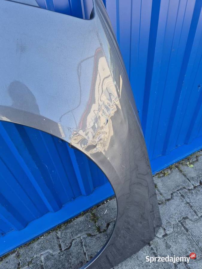 BŁOTNIK PRZÓD LEWY VW PASSAT B6 LA7T świętokrzyskie Działoszyce