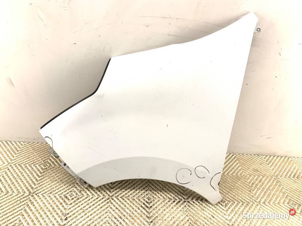 BŁOTNIK LEWY PRZÓD RENAULT MASTER III Bus OSŁONA