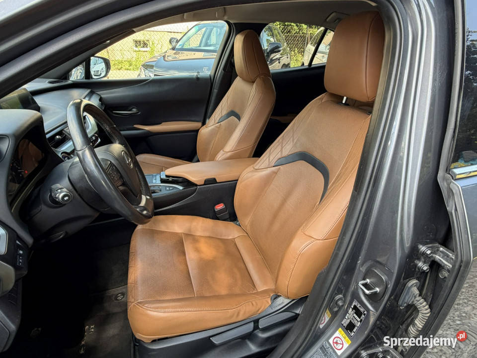 Lexus UX 250 Hybrid Skóra Ful LED Premium Łodygowice sprzedam
