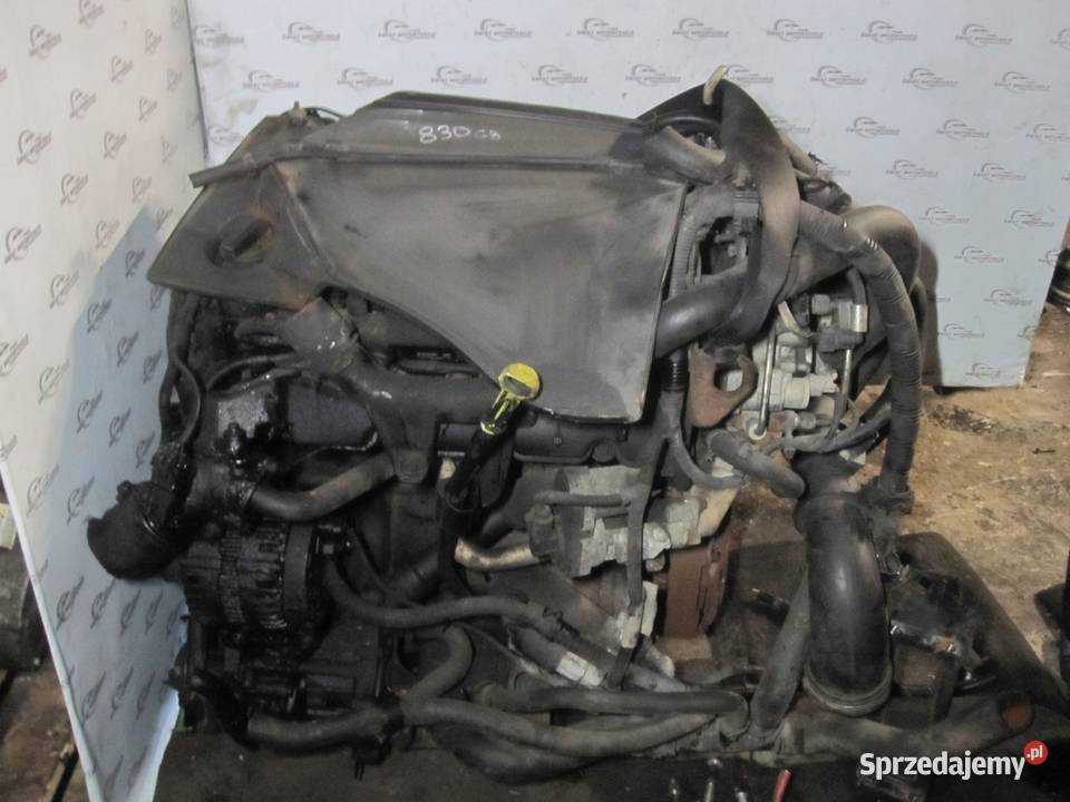 DUCATO BOXER JUMPER P8FA 22 HDI 100 176 09r osobowe Silniki kompletne Kielce