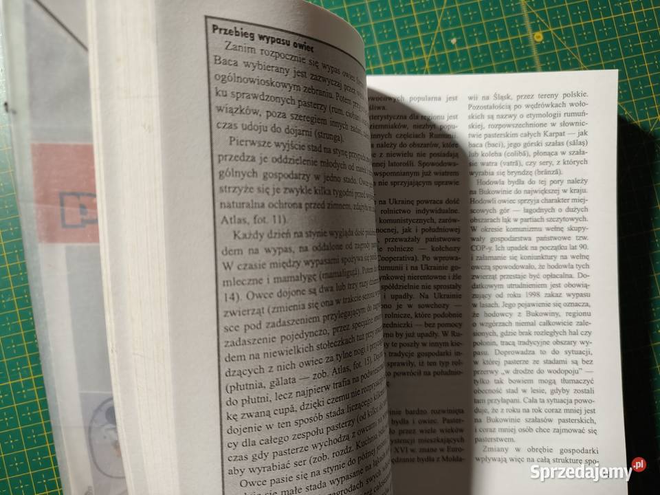 Bukowina Michał Jurecki Bezdroża przewodnik