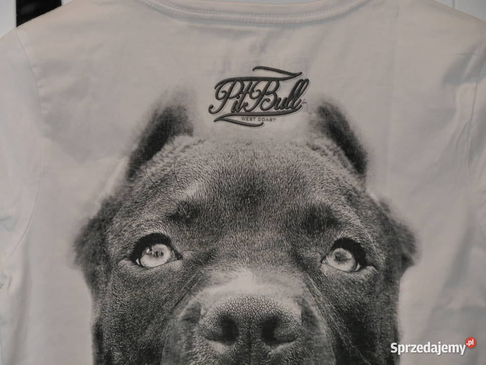 Pitbull rewelacyjna koszulka 34 XS Wrocław