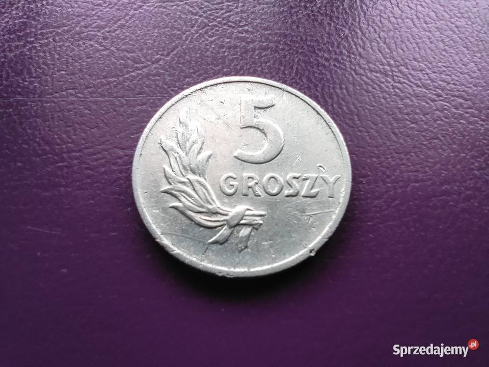 Moneta z PRLu 5 groszy 1949 Rzadka i ładna sprzedam