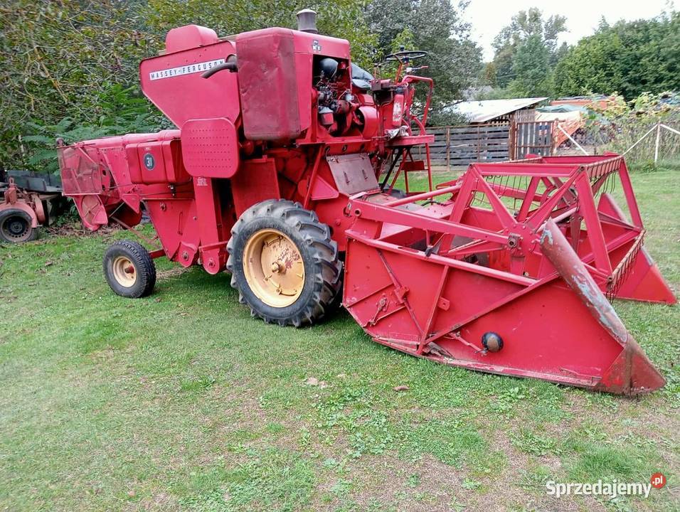 Kombajn zbożowy Massey ferguson 31 Zbożowe Janów Lubelski
