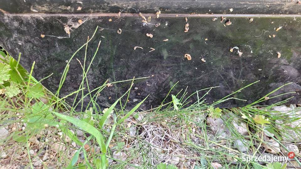 Drzwi Fiat Marea mazowieckie