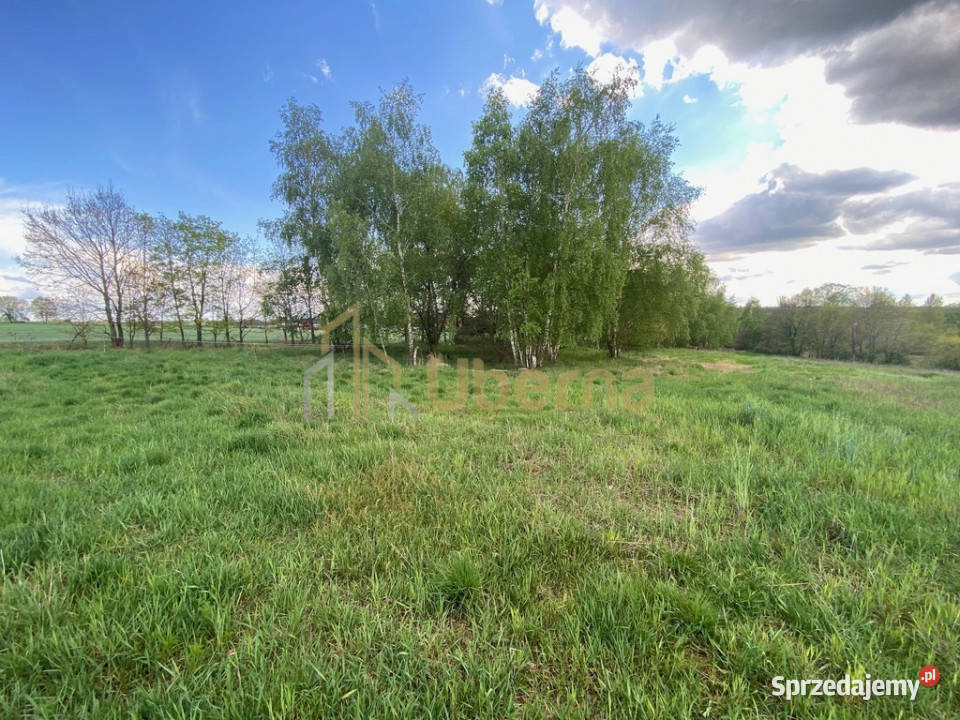 Działka 1744 m2 w Rogowie 17 Stargardu Rogowo