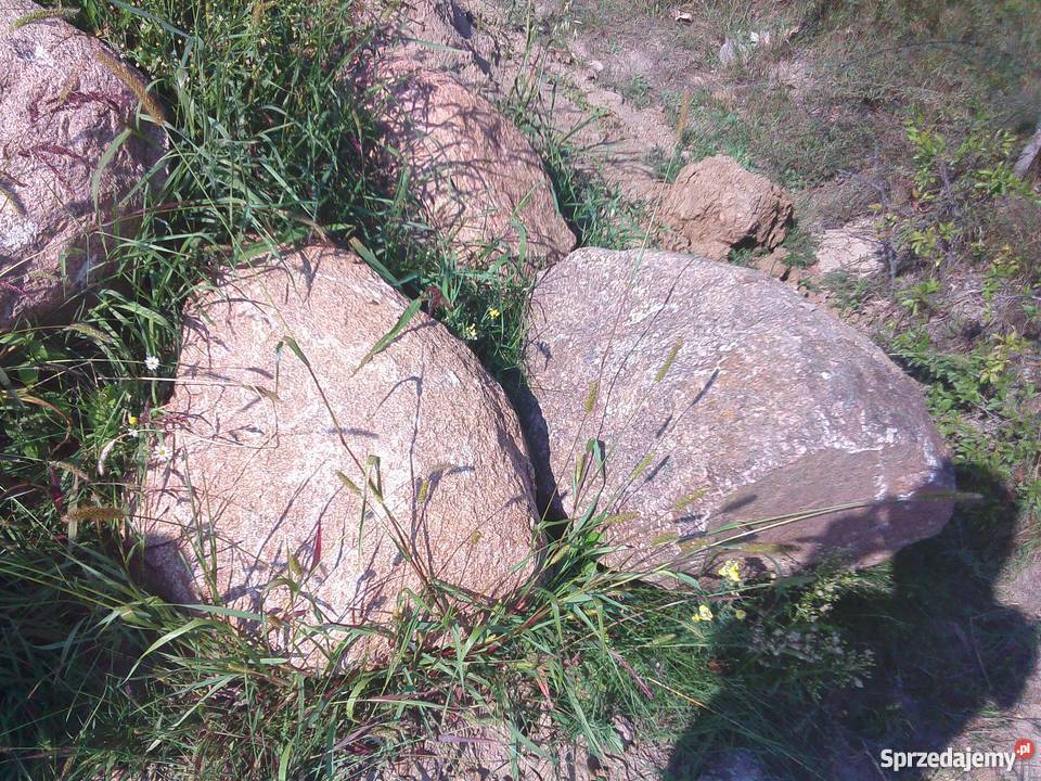 Sprzedam duże kamienie głazy 50 Pozostałe Kowala-Duszocina