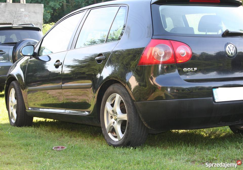 Volkswagen VW Golf V 1.4 FSI 2004 rok opłacony benzyna