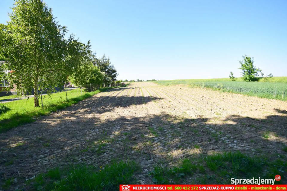 Działka rolnobudowlana bezpośrednio lesie utwardzona Dominów